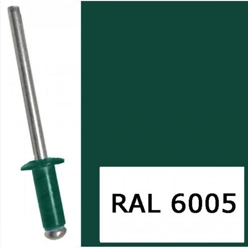Заклепки RAL 6005 комб. 4,0х10 / цинк